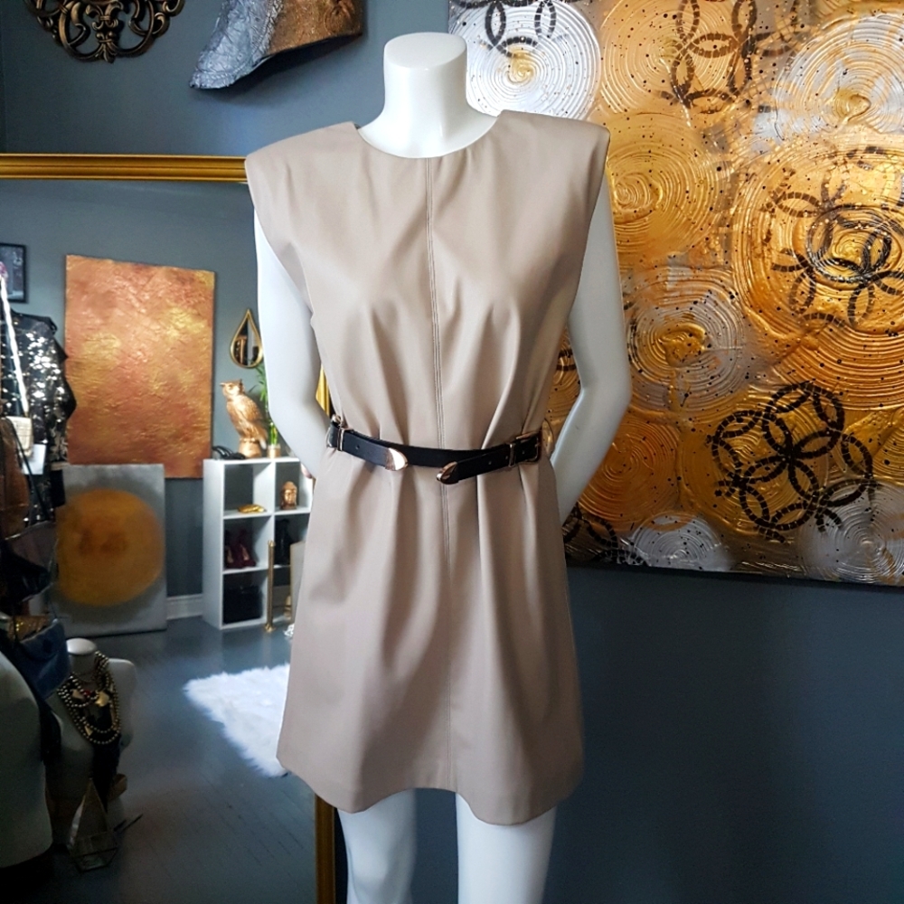 NWT Zara Vegan Leather Mini Dress